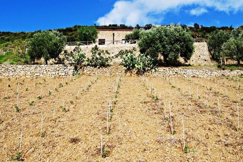 Casale Santa Rosalia, Забронировать Дом для отпуска Сан-Мауро-Чиленто Cilento Coast