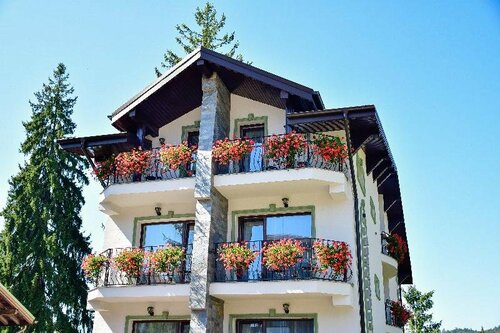 Pensiunea Hilltop, Забронировать Отель Отели Prahova Valley 3 звезды, 3*