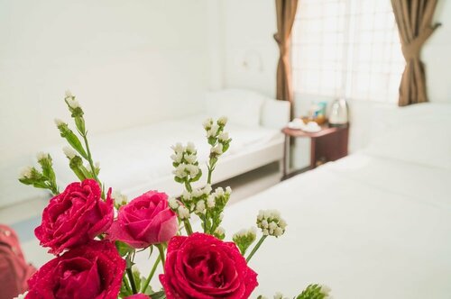 Mango Mini Hotel, Rezervovat Mini-hotel Motely v Da Nang, Motel