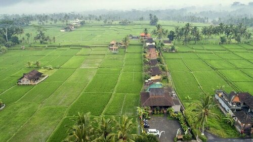 Kabinawa Ubud Villas by Pramana Villas, Prenota Villa Ville a Bali, Villa