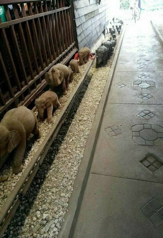 Inn Lhong Home