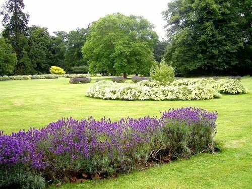 Thornham Hall, Book Hotel 5-stjernede hoteller i Eye, 5*