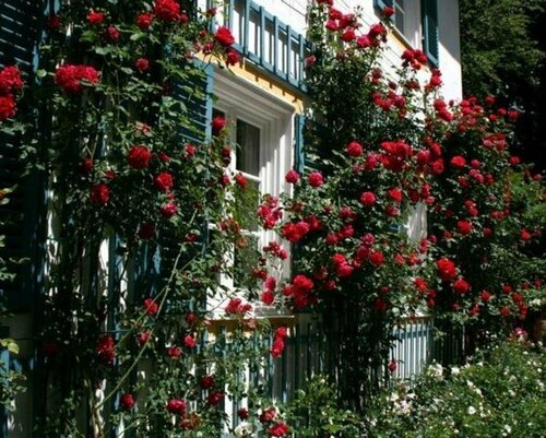 Villa Panoramablick