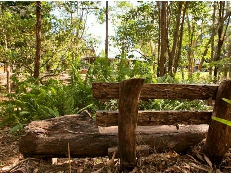 Rainforest Ranch
