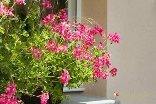 LHostellerie dAcquigny, Book Hotel Hotels in Eure with Parking, Parking