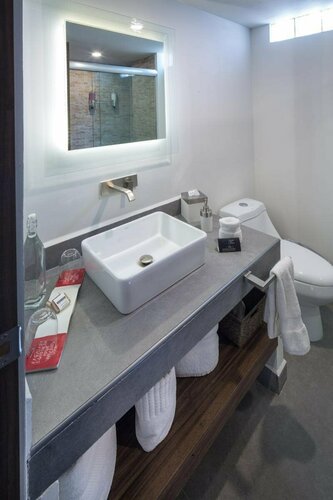 FlowSuites WTC, Prenota Residence Hotel 3 stelle a Messico Distretto Federale, 3*
