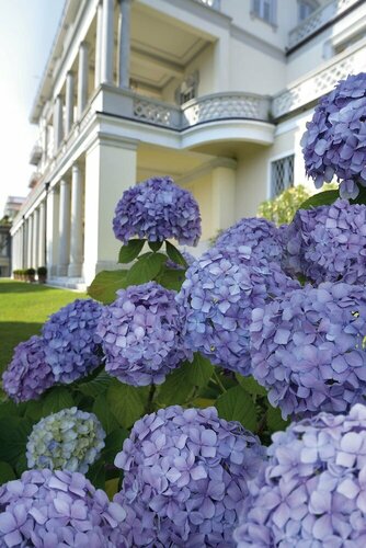 Grand Hotel Majestic, Prenota Hotel Hotel SPA a Lago Maggiore, SPA