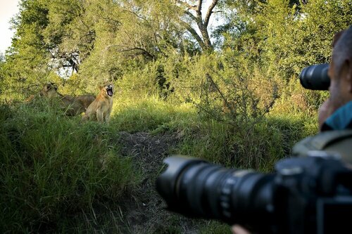 Lion Sands Game Reserve, Reservar Hotel Skukuza 