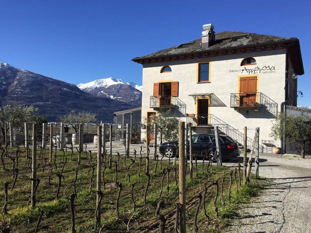 Tenuta Casa Cima
