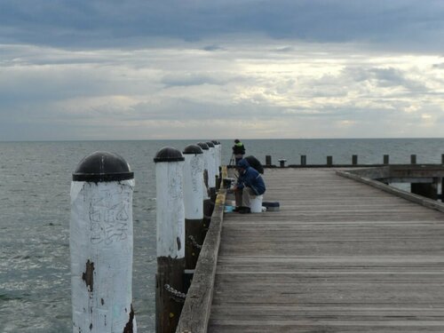 Beachwalk Cottage, Забронировать Дом для отпуска Сорренто Mornington Peninsula
