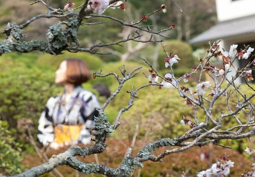 Shougen Sansou, Book Hotel Hoteller i Kumamoto med parkering, Parkering