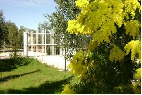 B&B Villa Méditerranée, Book Bed and Breakfast 3-stjernede hoteller i Trani, 3*