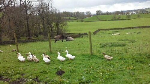 Airds Farmhouse B&b, Book Hotel  