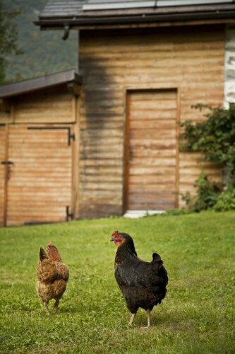 La Ferme De Noémie, Rezervasyon Misafirhane Mercury Savoie