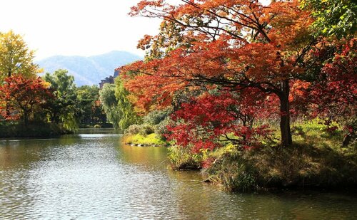Hotel Tetora Asahikawa Station, Забронировать Отель Недорогие отели Асахикава, рядом с Железнодорожный вокзал Асахикава-Ёдзё, недорого