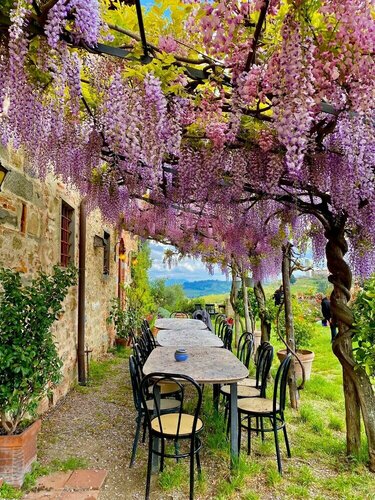 Agriturismo I Pitti, Забронировать Фермерский дом Отели Серравалле Пистойезе с бассейном, Бассейн