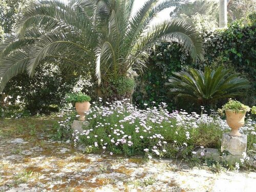 Masseria La Macchiola & Corti del Mito, Buchen Sie Hotel Hotels in Spongano mit Frühstück, Frühstück