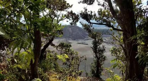 Volcano Forest Inn, Забронировать Отель «постель и завтрак» Волкейно Hawaii Volcano National Park, рядом с Aloha Candy Company