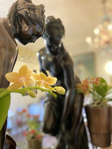 Hotel Verdi, Rezervovat Boutique Hotel Parma Emilia-Romagna