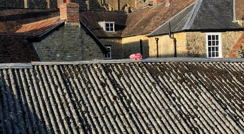 Britannia inn, Prenota Hotel Sherborne Dorset