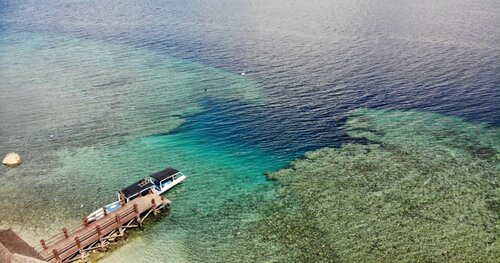 Tebu Menjangan, Rezervovat Penzión Pejarakan Indonésie