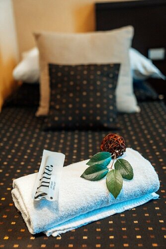 Hotel Latinum, Prenota Hotel Hotel a Lazio con parcheggio, Parcheggio