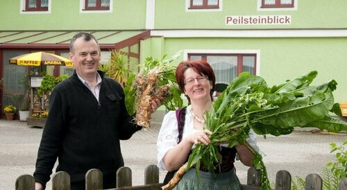 Landgasthof Peilsteinblick, Réserver Hôtel Yspertal Waldviertel