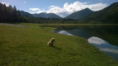 Alpengasthof Fritz am Sand, 예약 호텔 Ruhpolding Chiemgau