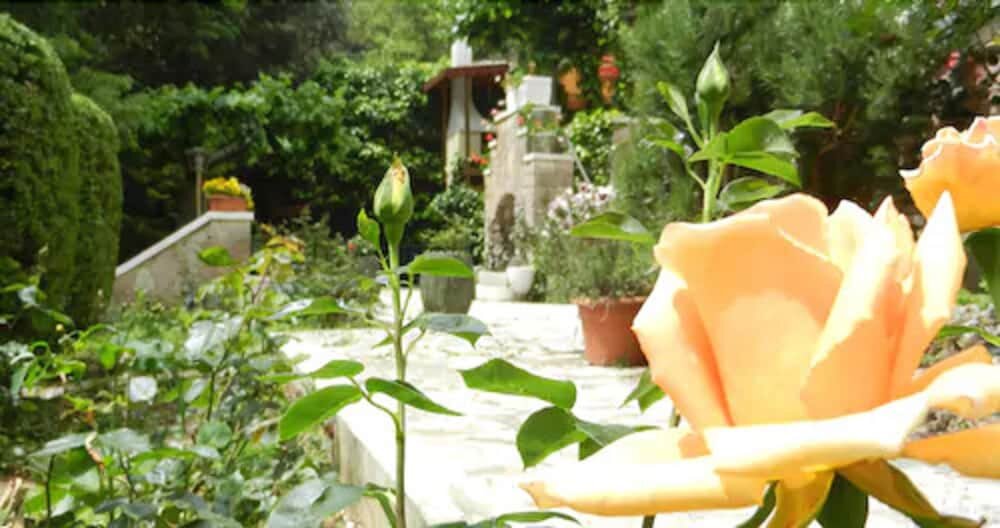 Hotel Paradiso