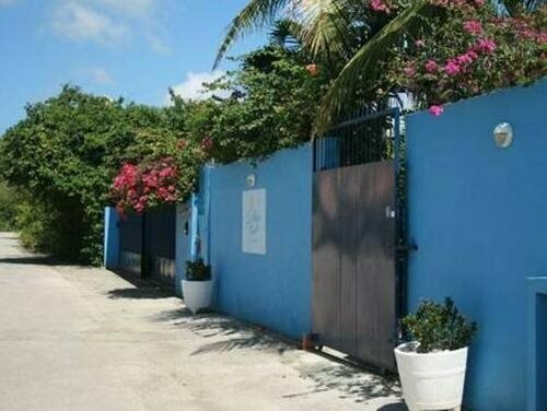 Caribbean Flower Apartments, Book Apartment Julianadorp Curacao