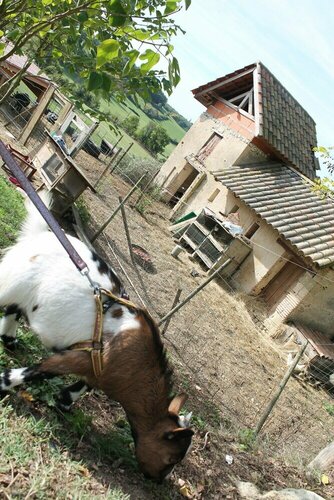 Gîtes et Ecurie du Cheval Blanc, Reserva ahora Hotel Hoteles en Aquitania con piscina, Piscina