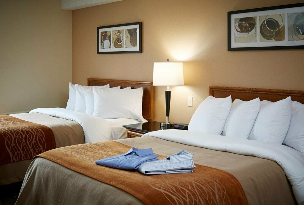 Comfort Inn South