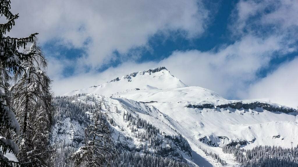 Schweizerhof Flims