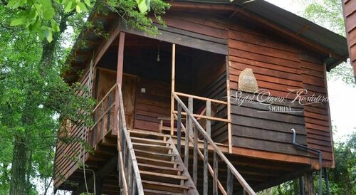Tree house sigiri queens rest, Забронировать Отель Отели Сигирия 3 звезды, рядом с Скала Пидурангала, 3*