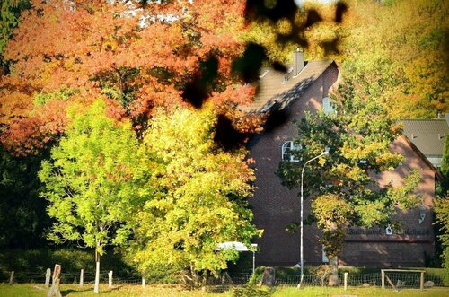 Waldhotel Twiehaus Garni, Забронировать Гостевой дом Санкт-Гертруда Любек
