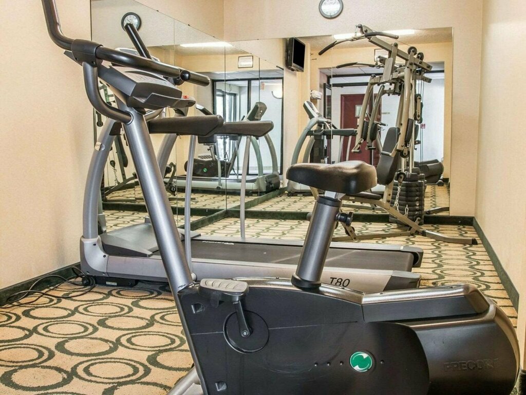 Comfort Inn Whitehall near Michigans Adventure