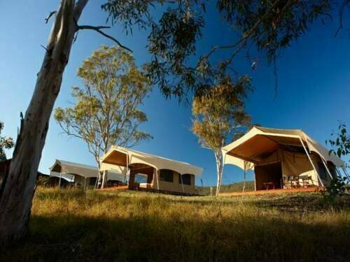 Spicers Canopy