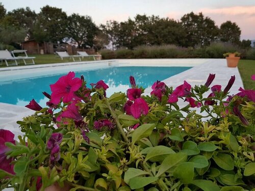 Borgo Campanile, Book Hotel Montefiascone Lake Bolsena