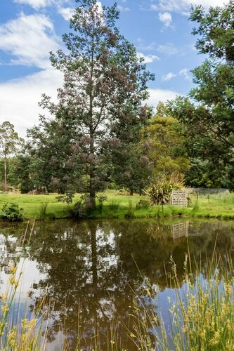 Giants Table and Cottages, Prenota Casa vacanze Mt. Field National Park Australia