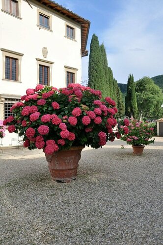 Villa Campestri