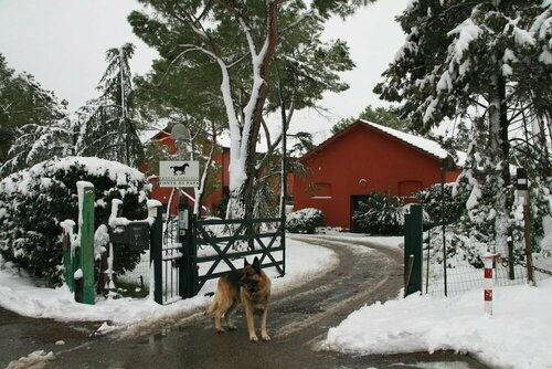 Tenuta Agricola Fonte Di Papa, Забронировать Фермерский дом Фермерские дома Монтеротондо, Фермерский дом