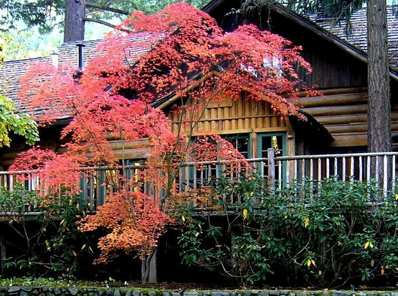 Weasku Inn