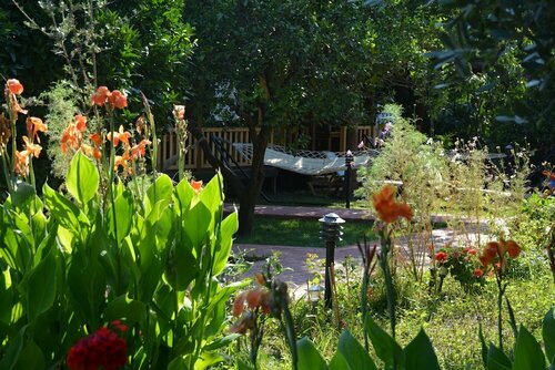Caretta Caretta Pension, Забронировать Гостевой дом Отели Кемер с завтраком, Завтраки