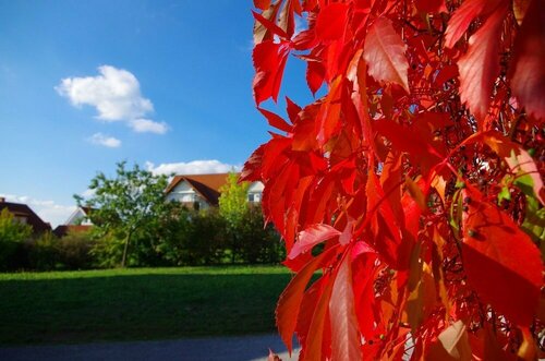 Fränkische Landherberge, Hotel Garni, Reserva ahora Hotel Hoteles en Baviera con aparcamiento, Aparcamiento