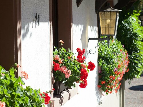 Hotel Gasthaus Adler, Réserver Hôtel Hôtels à Bade-Wurtemberg avec parking, Parking