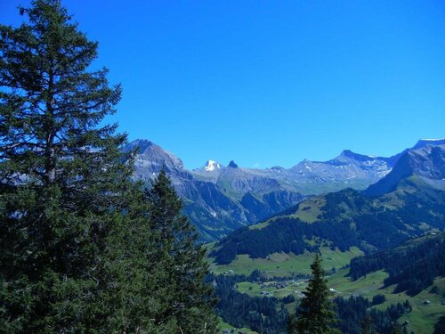 Restaurant Hotel Schermtanne, Varaa Hotelli Adelboden Bernese Oberland