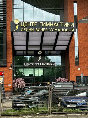 V Tsentre Gimnastiki Iriny Viner-Usmanovoy Hotel, Boek Hotel Oblast Moskou Hotels met een Zwembad, Zwembad