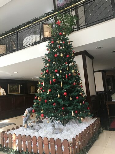 Central Hotel, Rezerwuj Hotel Hotele biznesowe w Bursa, 4* 5*