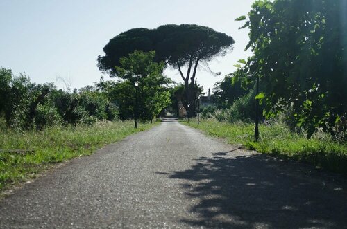 Agriturismo Capani, Reserva ahora Agroturismo Hoteles en Alezio con desayuno, Desayunos