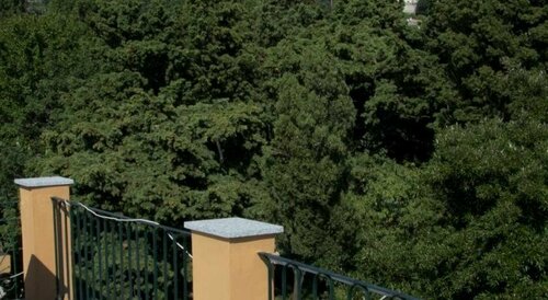 Laxmi Guesthouse B&B, Reserva ahora Bed & breakfast Génova 